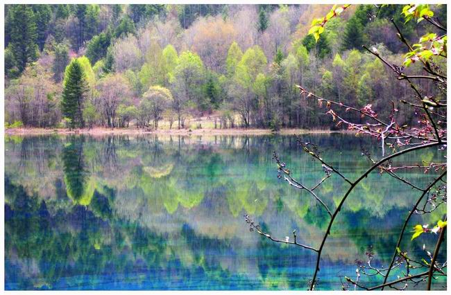上海浦东机场海关最近查的严嘛。我10月中旬