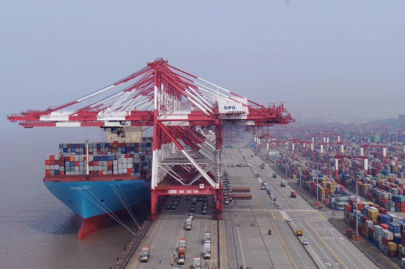 上海洋山海关提升监管效能助力洋山港集装箱吞吐量再