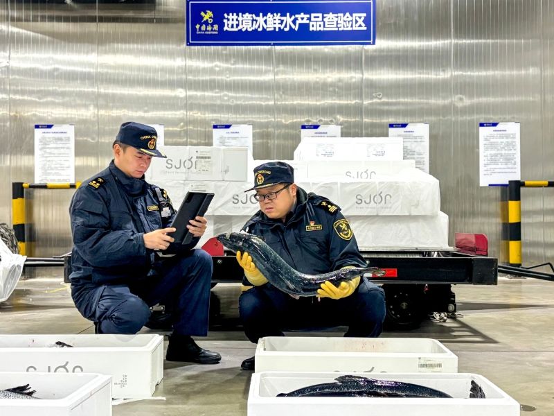 鄂州海关关员对来自智利的三文鱼进行现场查验