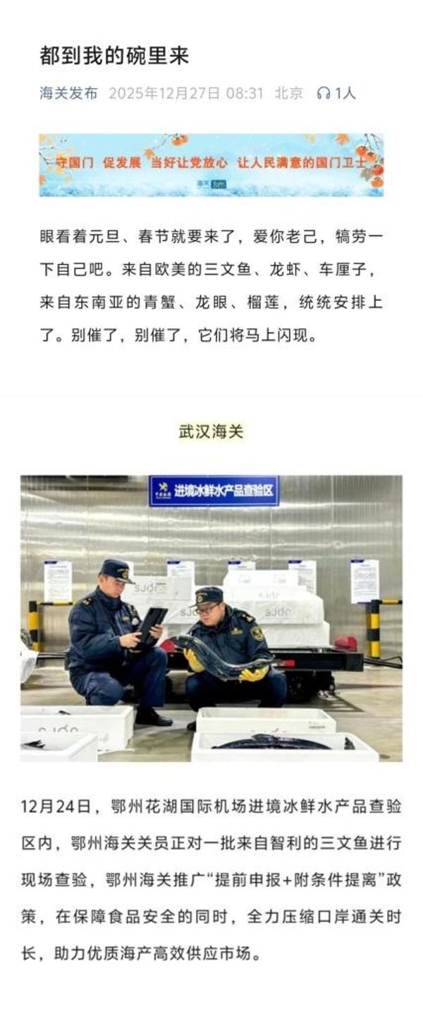 鄂州海关关员对来自智利的三文鱼进行现场查验，助力优质海产高效供应市场