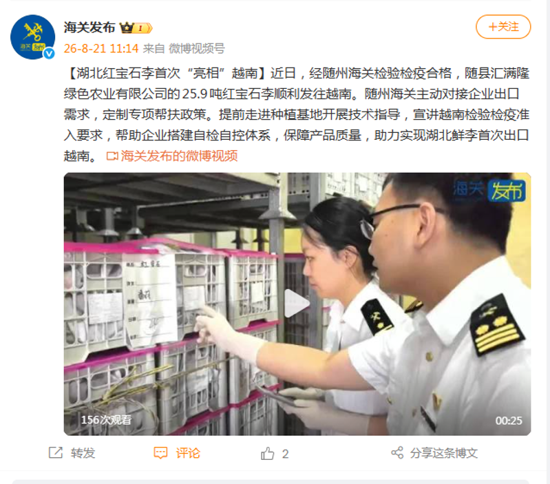 湖北红宝石李首次“亮相”越南