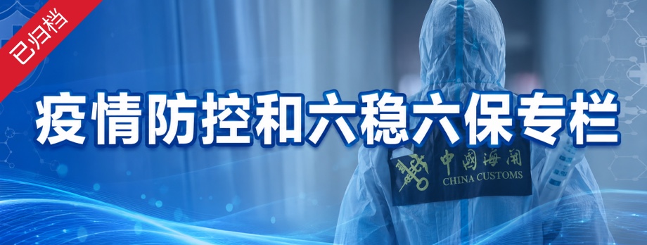 疫情防控和六稳六保专栏